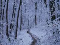 Madáretető túra a Rotary körsétány mentén