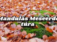 Mandulás-Meseerdő túra a Misina Tetőpontról