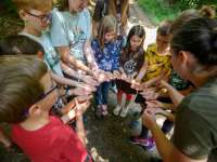 Erdei iskolai nyári táborok a Mecsekerdőnél 2026