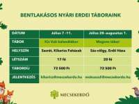 Bentlakásos nyári erdei táborok a Mecsekerdőnél 2025