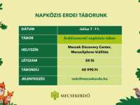 Napközis erdei tábor a Mecsek Discovery Centerben 2025