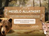 Mesélő Állatkert programsorozat a Pécsi Állatkertben