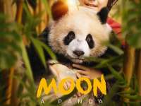 Kultik matiné: Moon, a panda - filmvetítés a Kultik Pécs - Uránia Moziban