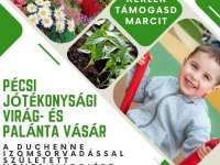 Jótékonysági virág- és palántavásár Nemes Marciért Pécsen