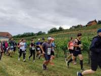 6. Pécs - Orfű - Abaliget félmaraton 2025