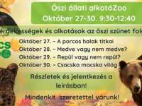 A porcos halak titkai - Őszi állati alkotóZoo a PécsZoo-ban