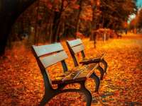 Őszi családi délután Patacson Őszi családi délután Patacson
