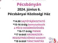 Pünkösdi Piknik Pécsbányán