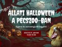 Állati Halloween a PécsZoo-ban