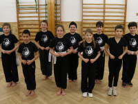 A SKAH Pécs SE várja a kezdőket a shaolin kungfu gyermekedzésekre!