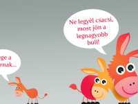 Szamárfül Fesztivál részletes programja Szamárfül Fesztivál részletes programja