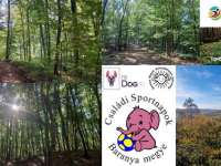 Tavaszi kutyagolás - kutyás túra a Mecsekben Tavaszi kutyagolás - kutyás túra a Mecsekben