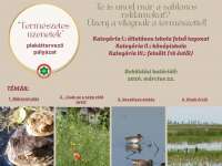 Te is unod már a sablonos reklámokat? Üzenj a világnak a természettel!