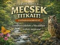 Természetbarátok Klubja a Tettye téren