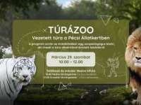 TúráZOO a Pécsi Állatkertben