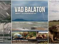 Vad Balaton - A tó felfedi titkait