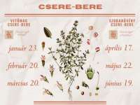 Zöld körforgás - Mag és szobanövény csere-bere a Csorba Győző Könyvtárban