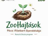 ZooHajtások - a Pécsi Állatkert Gyerekklubot indít márciustól!