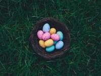 Nyomozás a Húsvéti Nyuszi után – családi programokkal készül a Zsolnay Negyed Nyomozás a Húsvéti Nyuszi után – családi programokkal készül a Zsolnay Negyed